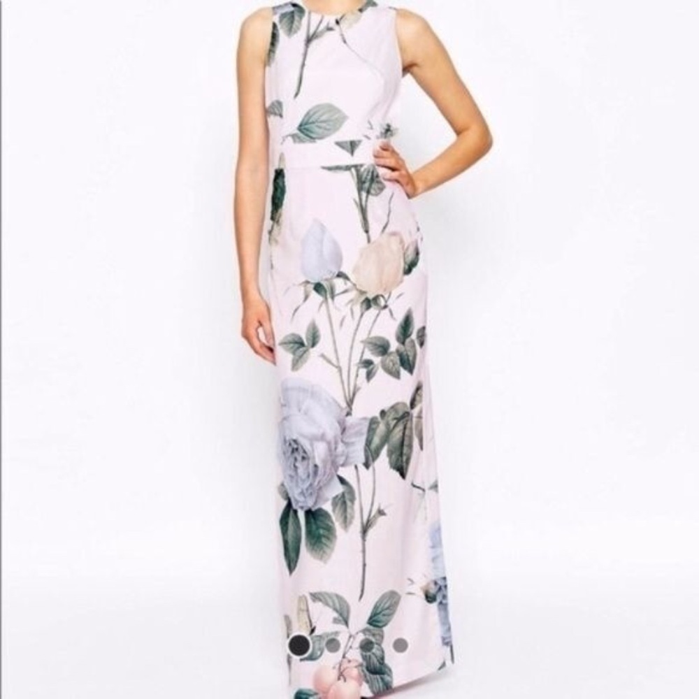 Ted Baker London Racha Distinguished Rose Maxi Dress Size 2
